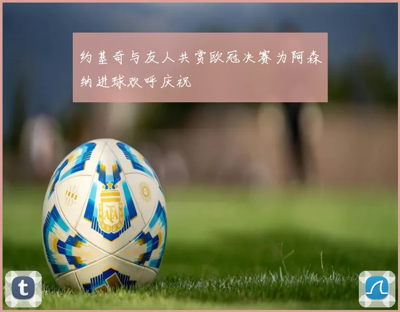 约基奇与友人共赏欧冠决赛为阿森纳进球欢呼庆祝
