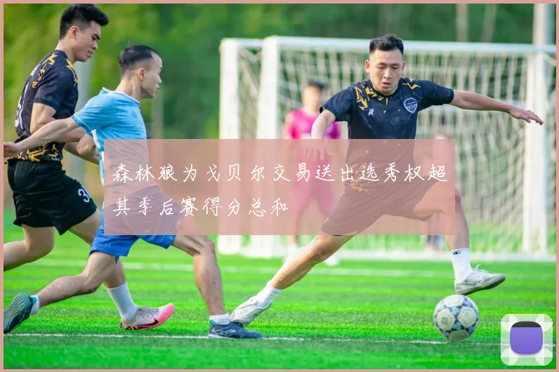 森林狼为戈贝尔交易送出选秀权超其季后赛得分总和